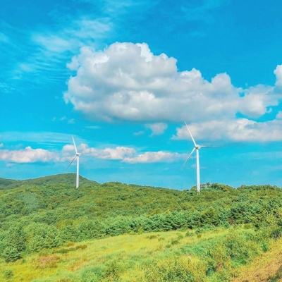 淘皮免费领取皮肤下载安装