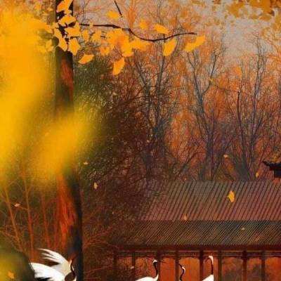 双龙决手游(暂未上线)v1.0 官方安卓版