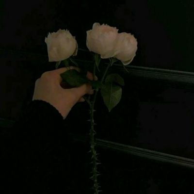 王国x传奇游戏